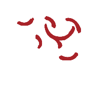 RAYBET�׾���-��ѵ��Ӿ����ٷ�ƽ̨